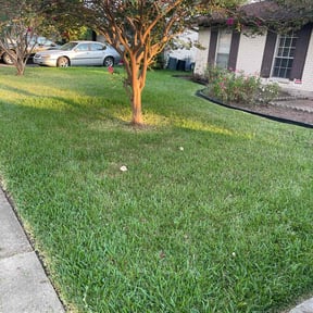 landscape maintenance by LoneStar Mow Pros reviewed on November 23, 2022