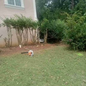 Bush Trimming by Four Seasons Nature Care Services reviewed on August 15, 2025