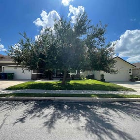 yard service by Elston Lawn Care reviewed on March 30, 2024
