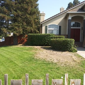 Bush Trimming by ACA CONSTRUCTION LLC reviewed on August 16, 2025
