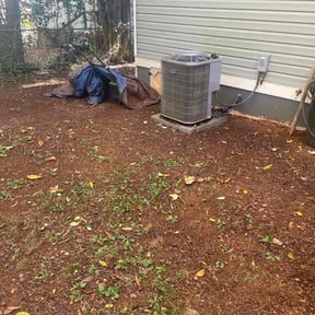 Leaf Removal by Jack Will Do It reviewed on November 4, 2025