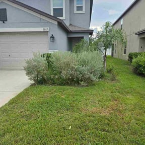 Bush Trimming by Toms Yard Care reviewed on October 23, 2025