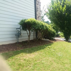 Bush Trimming by Cornerstone Properties and Rentals reviewed on August 20, 2025
