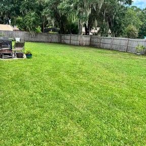 lawn care services by LovelyLawn Service reviewed on August 19, 2025