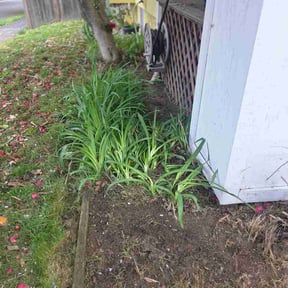 Flower Bed Weeding by Tuscarora Landscape LLC reviewed on April 10, 2026