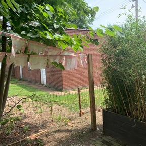 Bush Trimming by Mariscal Lawn and Landscaping LLC reviewed on May 11, 2024