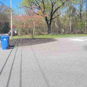 Leaf Removal by Reye's L&amp;M landscaping LLC reviewed on April 28, 2026