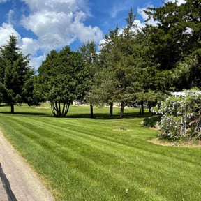 yard work by Binyard Consulting reviewed on August 17, 2025