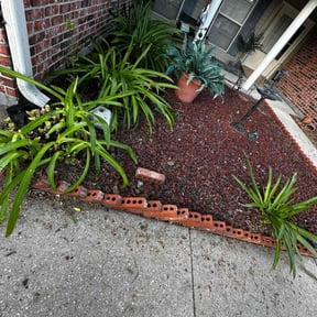 Flower Bed Weeding by MNS Services reviewed on October 4, 2024