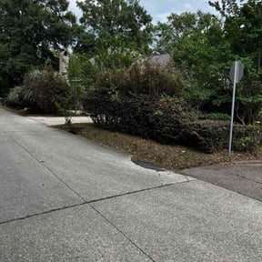 Bush Trimming by Top notch lawn services reviewed on August 16, 2025