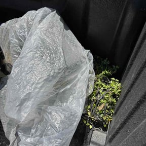 Flower Bed Weeding by Earth Vibes reviewed on June 2, 2026