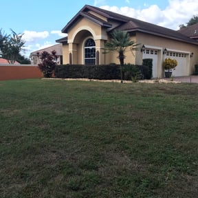 Bush Trimming by DrLawnCare LLC reviewed on August 18, 2025