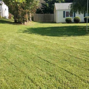 lawn care by Lawrence Lawn Care reviewed on April 30, 2024