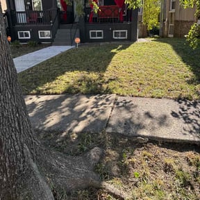 Leaf Removal by Thielshj reviewed on August 19, 2025