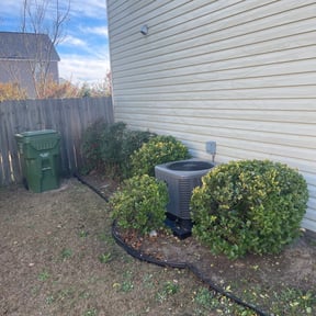 Bush Trimming by Heavenly steppers lawn care llc reviewed on August 19, 2025