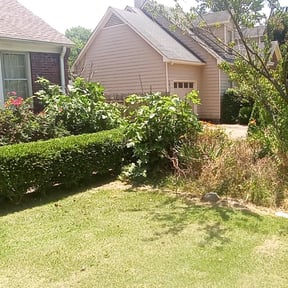 Bush Trimming by Yards of Dreams reviewed on July 2, 2025