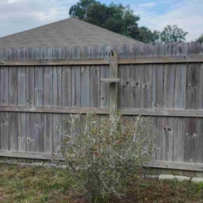 Bush Trimming by Joe's Lawn Care reviewed on August 20, 2025
