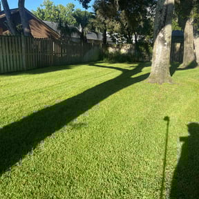 landscape maintenance by Fresh Clean Cuts LLC reviewed on August 16, 2025