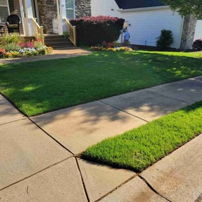 landscaping services by Torres Lawn Care reviewed on August 19, 2025