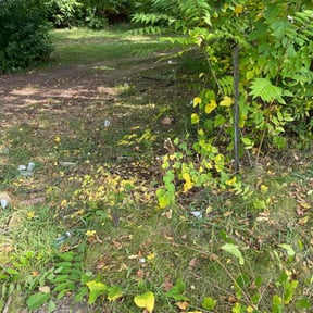 Bush Trimming by LG Lawn Services reviewed on August 20, 2025