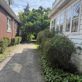 Bush Trimming by Tjs landscaping llc reviewed on August 28, 2026