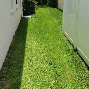 yard service by B&amp;B lawn care reviewed on August 22, 2023