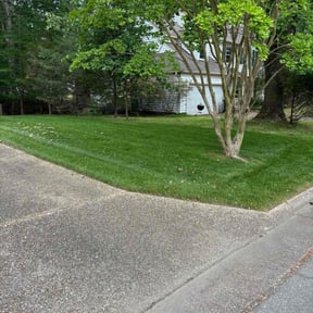 yard care by Tansol LLC reviewed on December 4, 2025