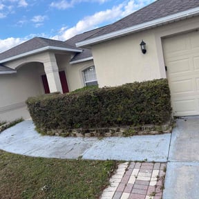 Bush Trimming by Little Services reviewed on July 13, 2022