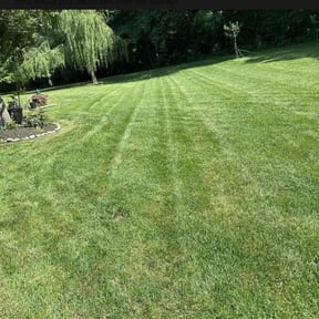 residential landscaping by D's Landscaping & Design reviewed on August 20, 2025