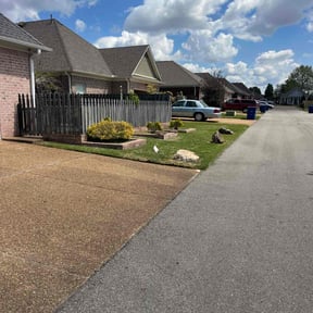 yard service by Reliable Experienced Professionals reviewed on August 16, 2025