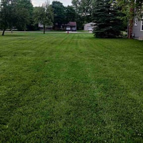 yard service by JPR DIVINE LANDSCAPING reviewed on August 15, 2025