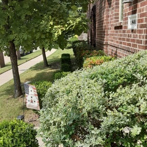 Bush Trimming by 911 Lawn Care Service reviewed on August 21, 2025