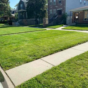 gardening service by McDannell Improvements reviewed on April 7, 2024