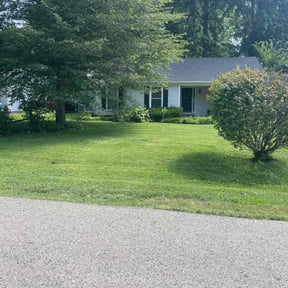 turf care by Juana's Botanical Landscaping reviewed on April 27, 2024