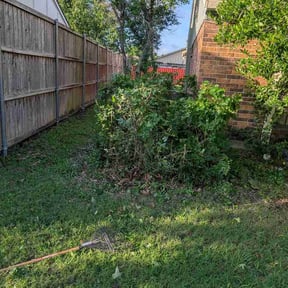 Bush Trimming by Robert'S reviewed on June 18, 2026
