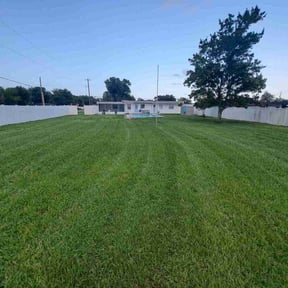 landscaping services by Sky Lawns reviewed on February 19, 2026