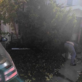 Bush Trimming by Wynstra Lawn Care LLC reviewed on August 21, 2025
