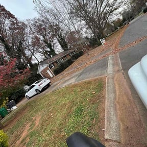 Leaf Removal by Snell mowing reviewed on December 9, 2025