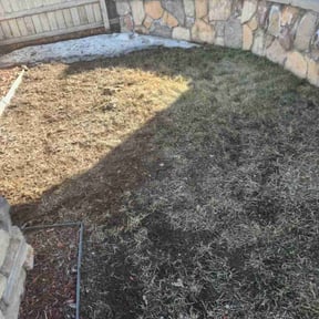 Cleanups by The lawn Guy reviewed on August 13, 2020