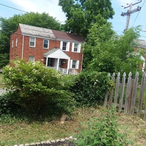 Bush Trimming by The Yard Guy reviewed on August 14, 2025