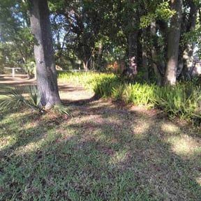 Leaf Removal by Positive Landscaping reviewed on July 22, 2026