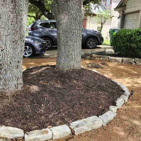 Mulching by Lawn and Order SVU reviewed on August 19, 2025