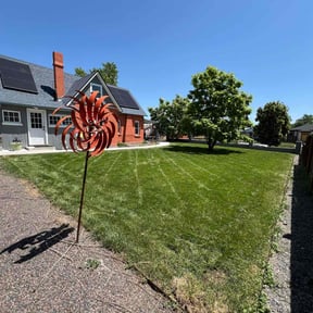 yard service by farsight services reviewed on August 18, 2025