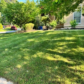 yard care by Aaron's Landscaping and Tree services reviewed on August 21, 2025