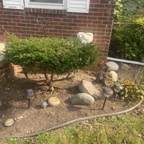 Flower Bed Weeding by Green Effect ,LLC reviewed on November 8, 2025