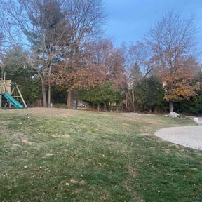 Leaf Removal by P and js lawn care LLC reviewed on October 22, 2025