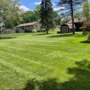 grass cutting by Polish up reviewed on May 12, 2024