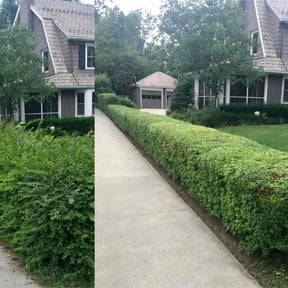 Bush Trimming by Big 3 Lawns and Landscaping reviewed on August 18, 2025
