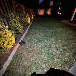 Leaf Removal by Roberto Pena reviewed on September 16, 2025