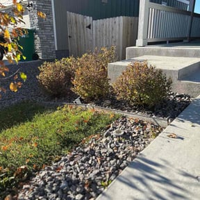 Bush Trimming by Firefighter Pest and Lawn reviewed on October 18, 2025